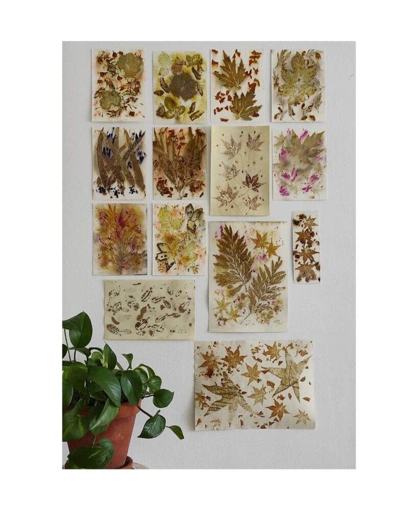 267299110_876958636312305_5011074517432843439_n