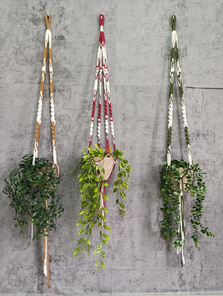 483527107_9538768196200512_8553589159416410109_n