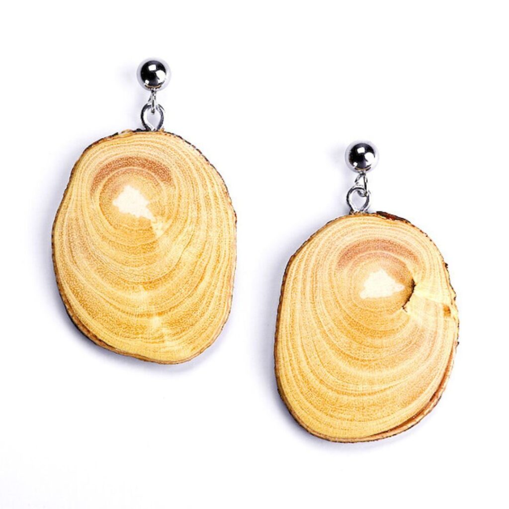 490269477_1173224361481815_1906701098667082930_n