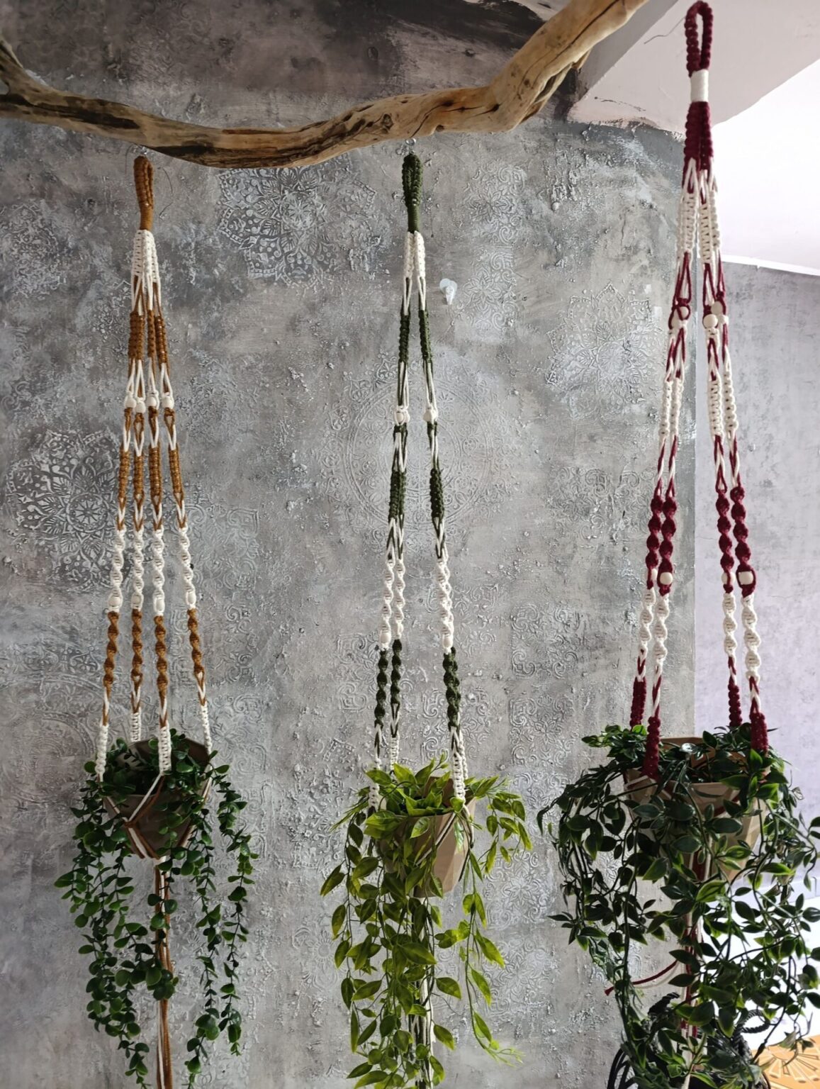 482093205_9538768596200472_2472689297118840557_n